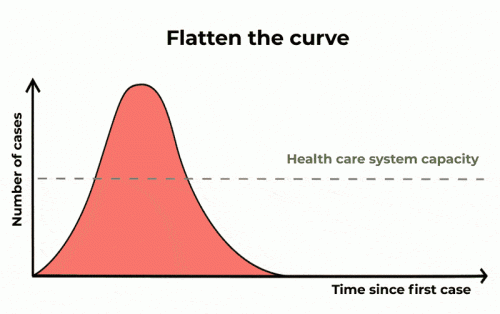 z.flatten_the_curve1.gif